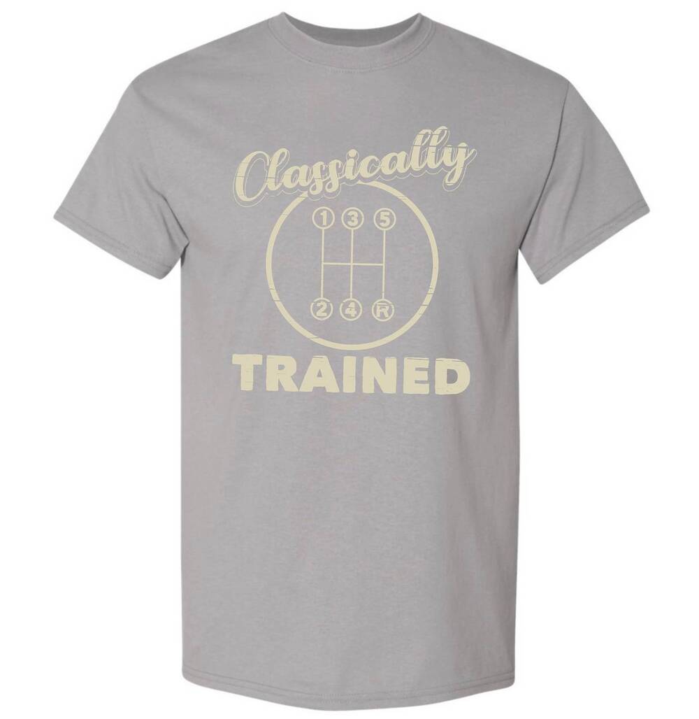 NEW ADINA LAS VEGAS men's classically trained car tee in gray